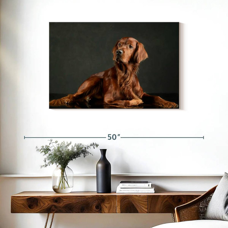 Setter irlandais fidèle, H 24 po x l 36 po