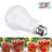 LED A21 Light Bulbs, 100W Eqv. Dimmable, E26 Base, CRI 90, UL & Listed-56785722
