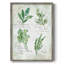 Fresh Herbs II, reproduction encadrée - bois massif-405101936