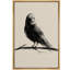 Oiseau gris, peinture à l'encre-102453601-102453604