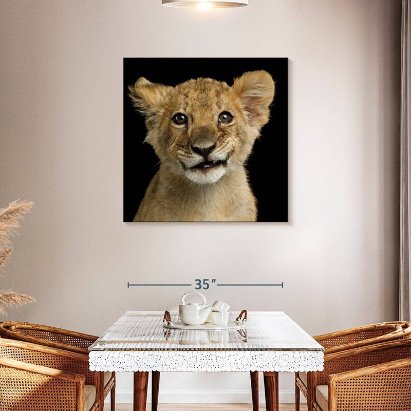 Brampt Baby Lion Head, 36" H x 36" W