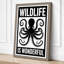 Wildlife Is Wonderful Typography - Wrapped Canvas-856606944-856606970