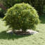 Tree Ring Decorative Garden Modern Protector Outdoor Ornament Base Home-496734267