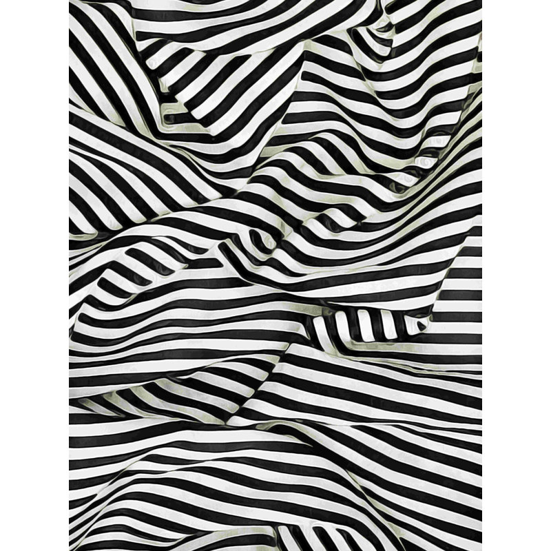 «Black White Bold and Bright II» par Ashley Aldridge - reproduction d'art sur toile tendue, H 30 po x l 20 po, Non