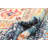 Lotus Navy Rug 8'0" x 10'0"-1879661603