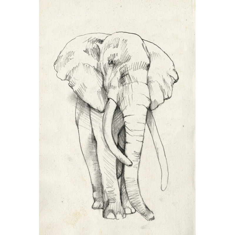 Portrait d'éléphant II, H 12 po x l 8 po