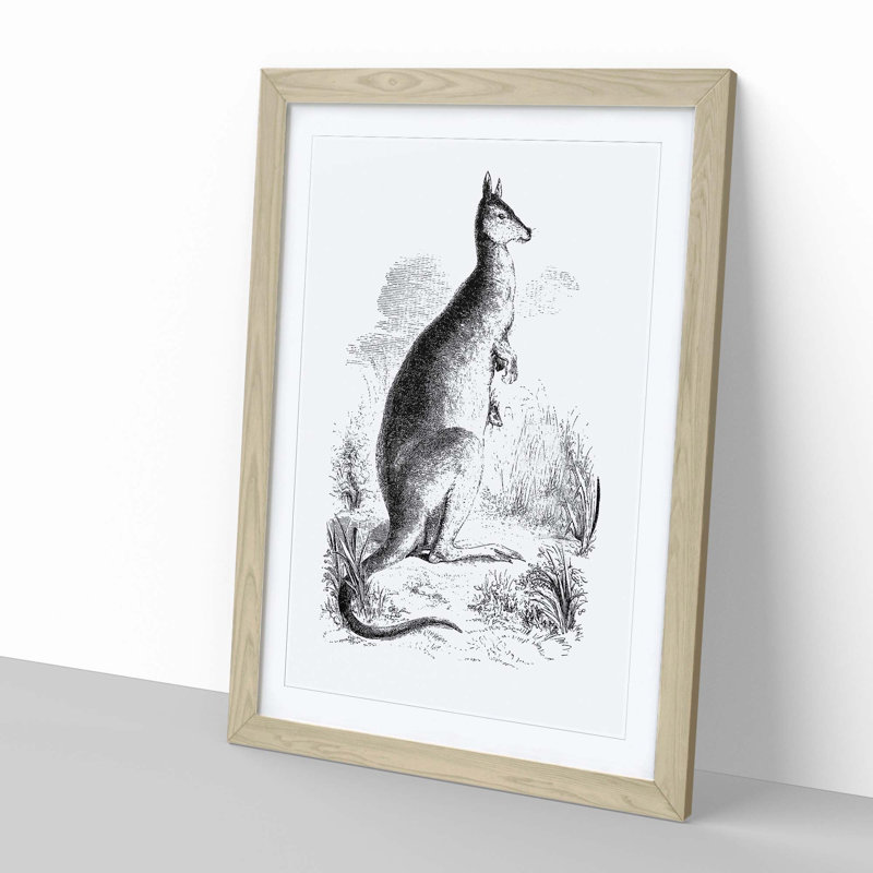 A Kangaroo Illustration in Black & White - Framed Print, 50cm H x 35cm W x 2cm D, Oak