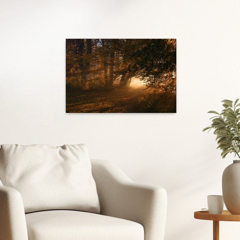 Chemin brumeux et doré dans une forêt d'automne paisible et sereine - Affiche murale, H 16 po x l 24 po