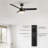 Nikkei 48'' Ceiling Fan with LED Lights-1649719807