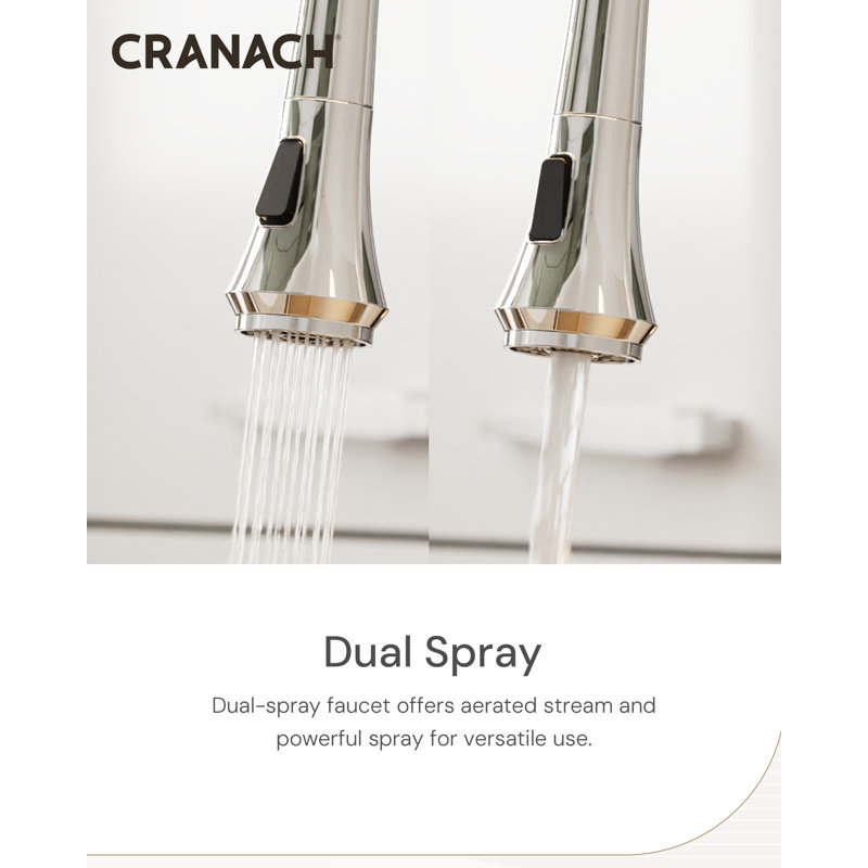 PULL DOWN Single-Handle Dual Spray Kitchen Sink Faucet, 1.2 GPM, Chrome