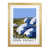 Oak Wood Frame is unavailable