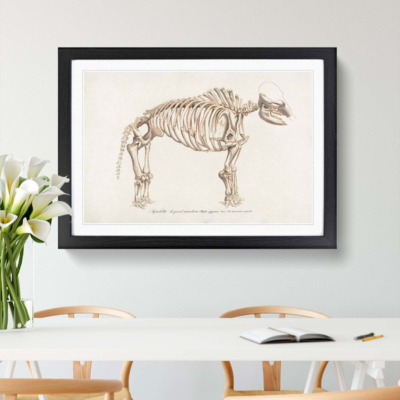 Mammoth Skeleton by Charles d' Orbigny - Picture Frame Graphic Art Print, Black Framed, 36cm H x 48cm W x 2cm D