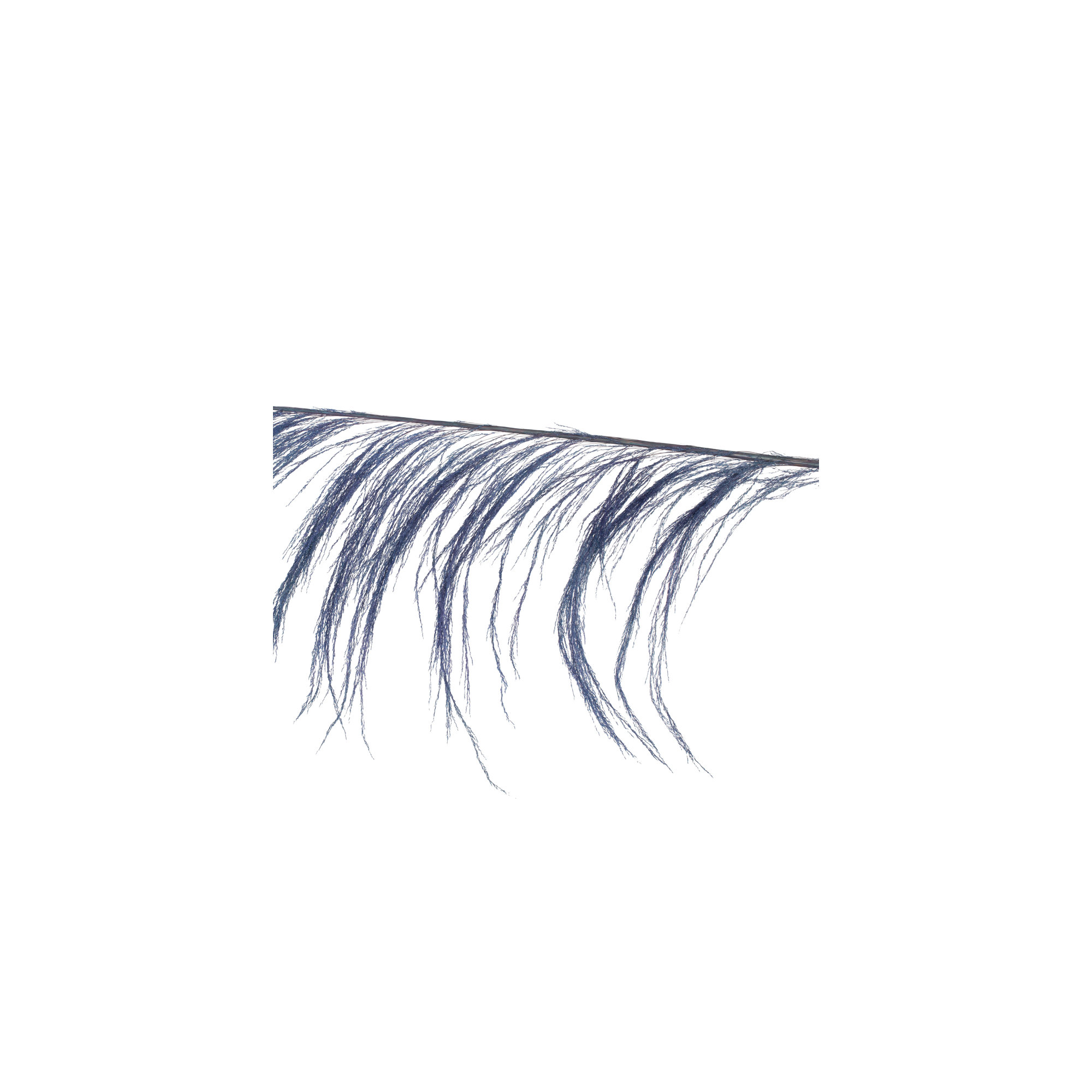 Lei 71'' Palm Plant, Navy