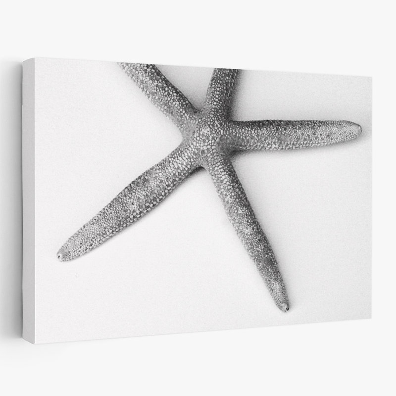 Étoile de mer côtière et plage, H 24 po x l 16 po