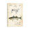«Striped Bass Fishing Lure» par brevet77 - reproduction de dessin sur toile tendue