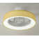 Jiren Dimmable Flush Mount LED Ceiling Fan with Remote Control