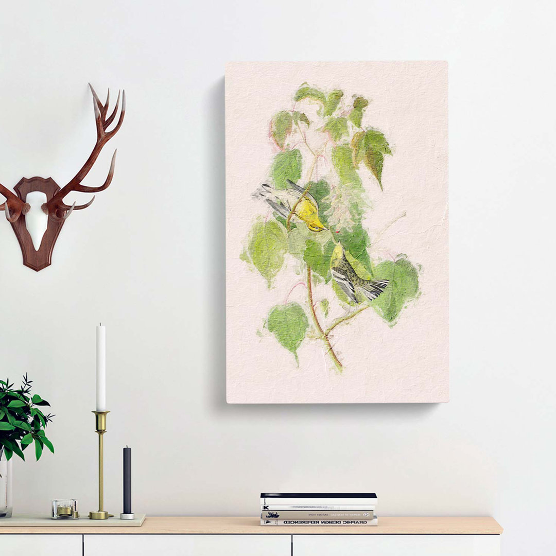 Hemlock Warbler by John Audubon - Wrapped Canvas