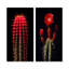 Cactus rouge et noir marron monolithe - ensemble de 2 reproductions d'art mural cactus-766943082-766943081