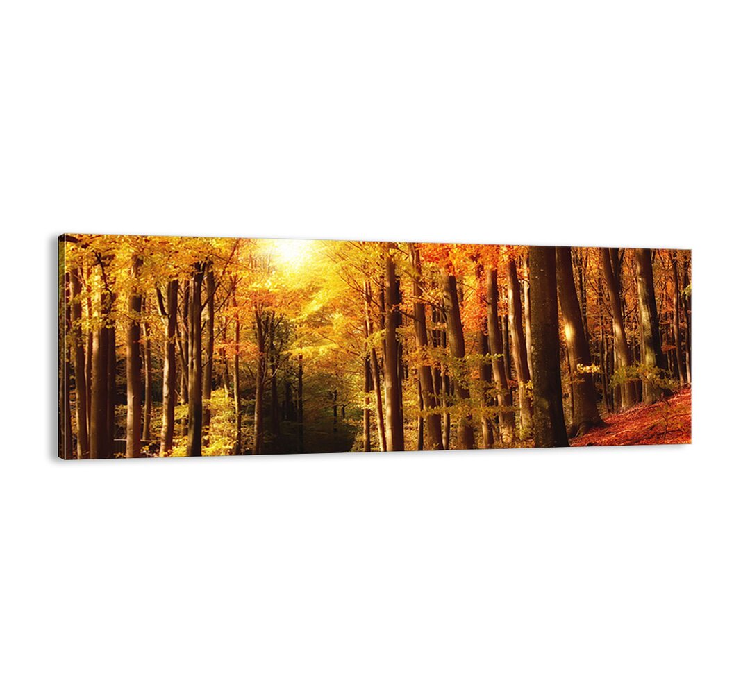 Leinwandbild - Fotografie „Golden Autumn on a Forest Road”