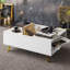 Palmyra Coffee Table with Storage