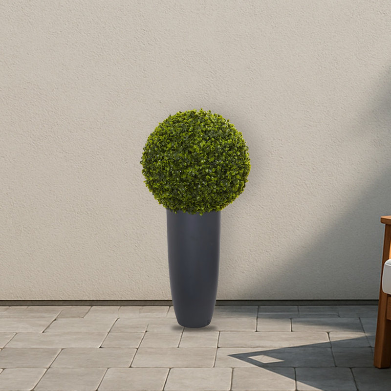 Boxwood Topiary in Planter