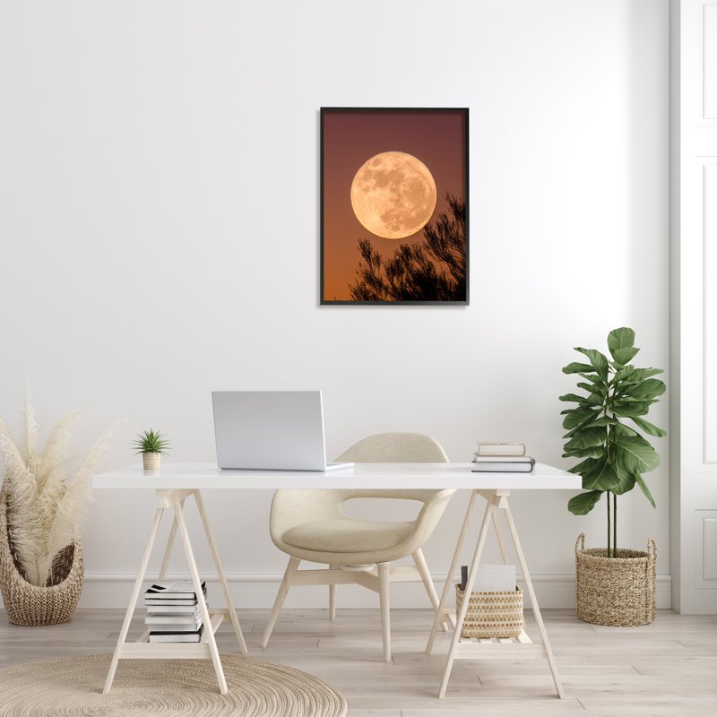 Pleine lune, branche d'arbre, silhouette, ciel d'automne par Birch & Ink - impression, H 30 po x l 24 po