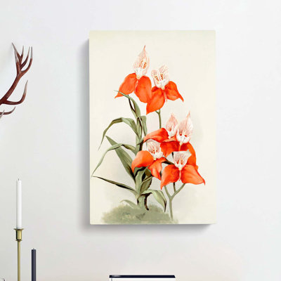 Magnolia Flowers Illustration Tab. 15 by Frederick Sander - Wrapped Canvas Print