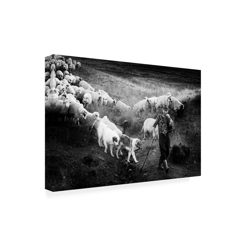 Art sur toile «Bachelo Sebastian Vasiu», H 12 po x l 19 po