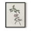 Imprimé floral rétro CLXIV - impression encadrée-861021737-861021741