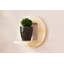 Locelso Wood Floating Shelf