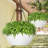 Hanging Planter-1286674574