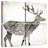 Brampt Wood Deer-109099131
