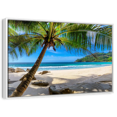 Palmier sur une plage de sable