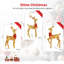 Metal Christmas Decoration