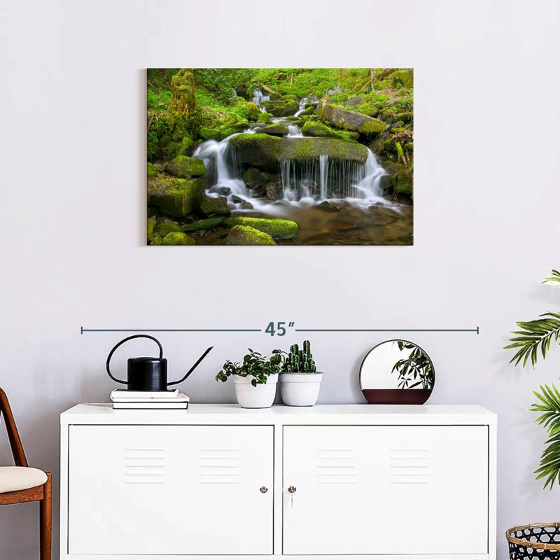 Alvord Mossy Stream Waterfall
