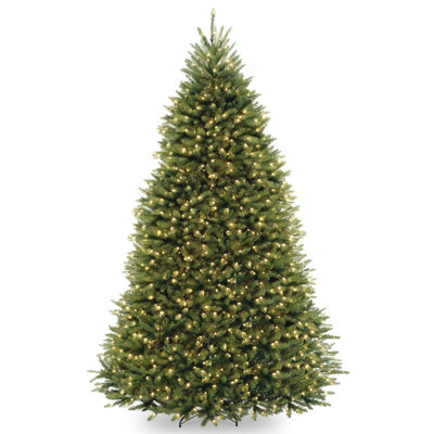 Dunhill Fir Tree with Clear Lights