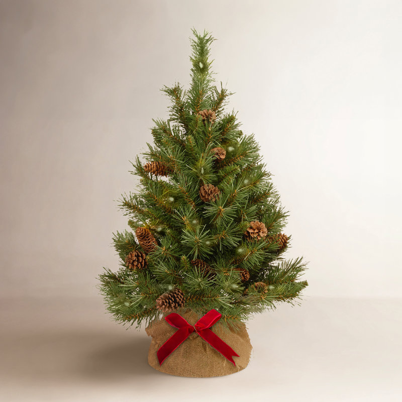 3' Pre-Lit Pine Christmas Tree