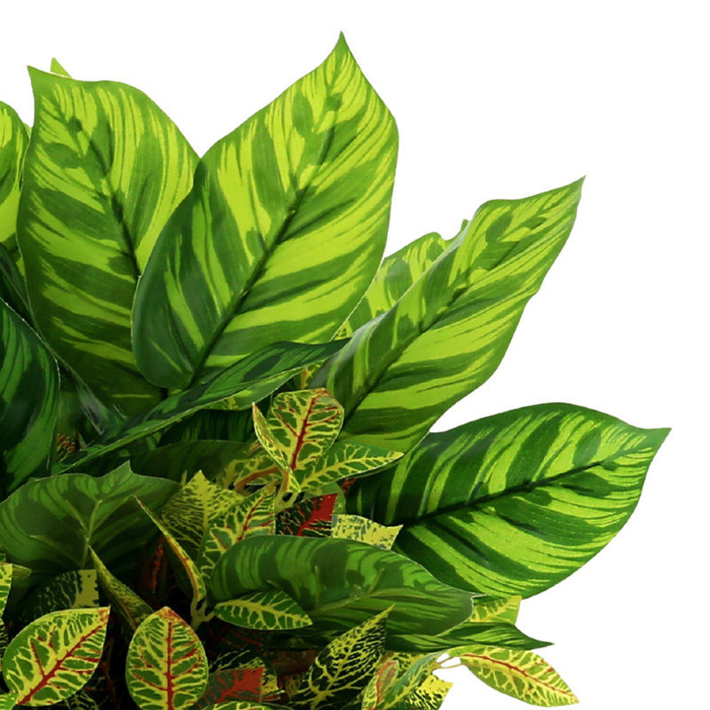 Kamila Croton Maranta plante en pot de Fiberstone