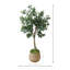 Olive en pot de ciment enveloppé de bambou