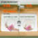 33" L x 19" W Fireclay Workstation Kitchen Sink Single Bowl White with Cutting Board and Bottom Grid