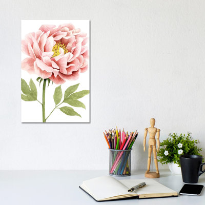 Watercolour Peony I - Wrapped Canvas Print