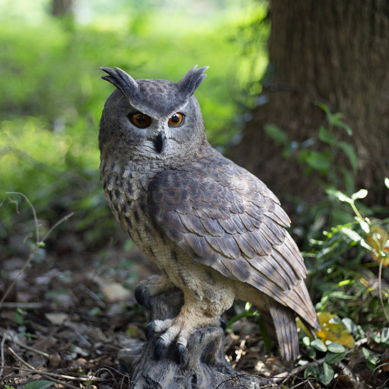 Brown Long Eared Owl on branch | Handcrafted Decorative Bird Statue for Home & Garden | Premium Polyresin, Weather-Resistant Indoor/Outdoor Decor