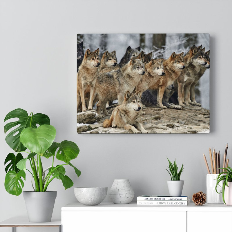 Loup - photographie sur toile tendue, H 18 po x l 24 po x P 1,25 po