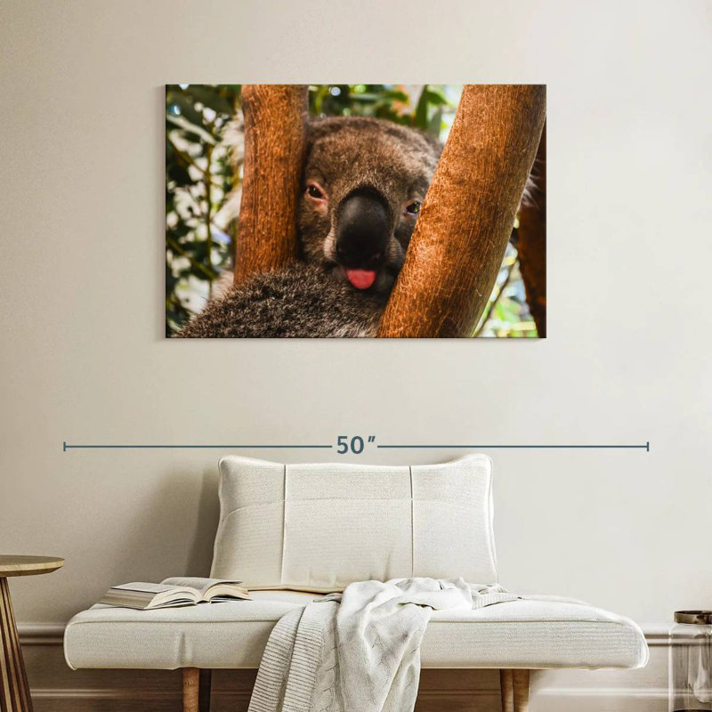 Brampt Funny Koala, 26" H x 39" W