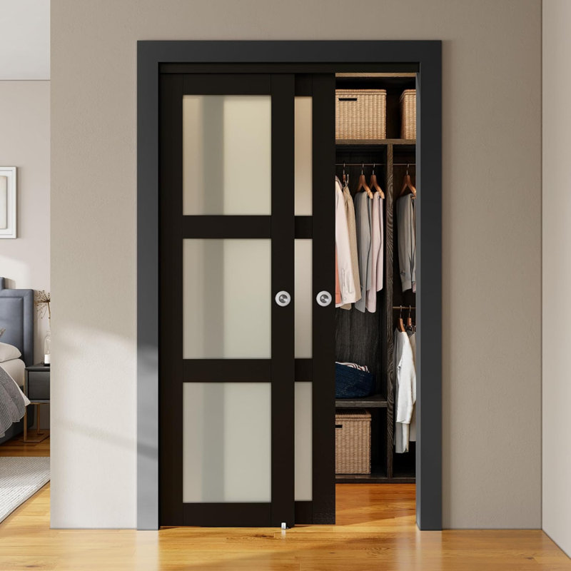 Portes d'armoire coulissantes noires