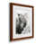 Maple Framed