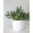 UV Resistant Moss Bundle 11"
