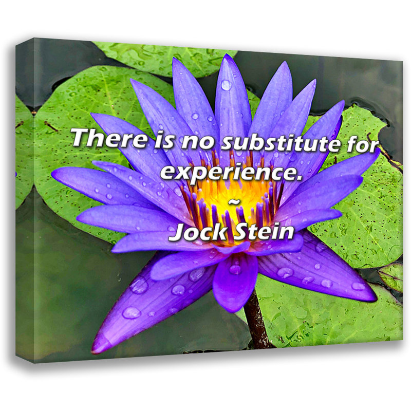 Jock Stein Quote: There is no substitute for experience., 20" H x 24" W
