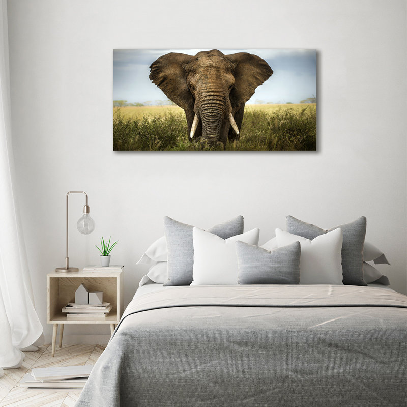 Elephant on the Savanna 1 Piece Wrapped Canvas Wall Art