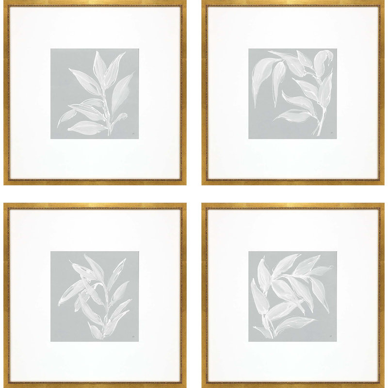 Étude de feuilles S / 4